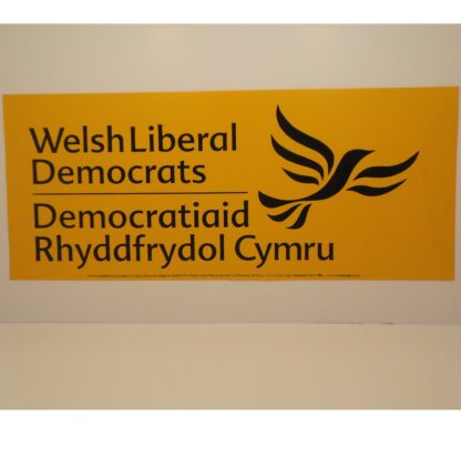Welsh Yellow Mini Banner