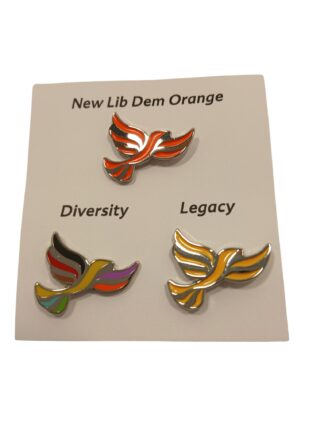 Multi Set Lapel Pins