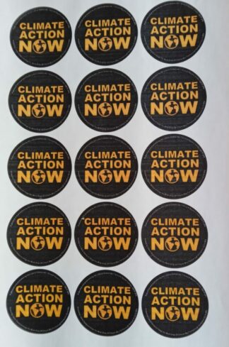 Climate Action Now Black Sticker