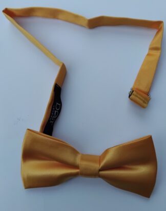 Gold Bow Tie