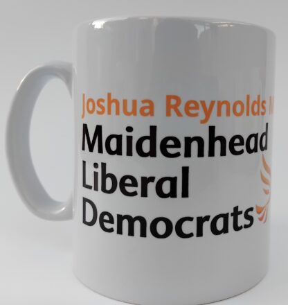 Joshua Reynolds MP for Maidenhead - Image 3