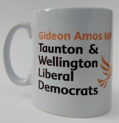 Gideon Amos MP for Taunton and Wellington - Image 2