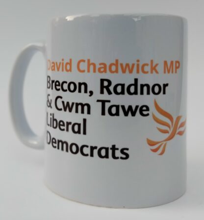 David Chadwick MP for Brecon, Radnor and Cwm Tawe - Image 2