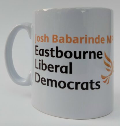 Josh Babarinde MP for Eastbourne - Image 4