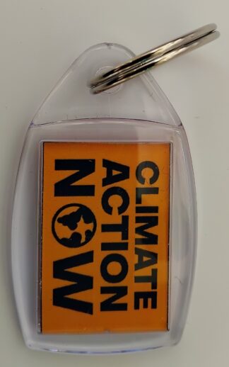 Climate Action Gold Keyring
