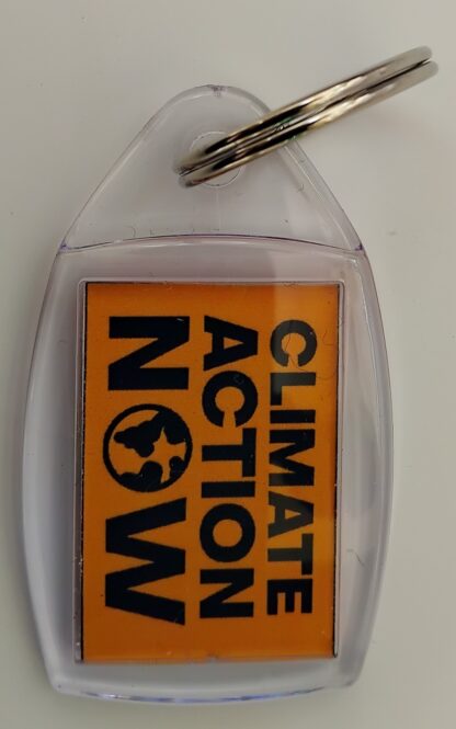 Climate Action Gold Keyring