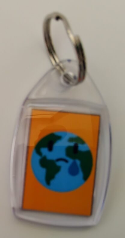Climate Action Gold Keyring - Image 2