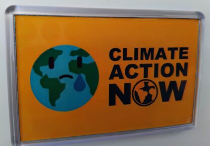 Climate Action Gold Magnet