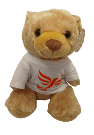 Soft Bear Toy