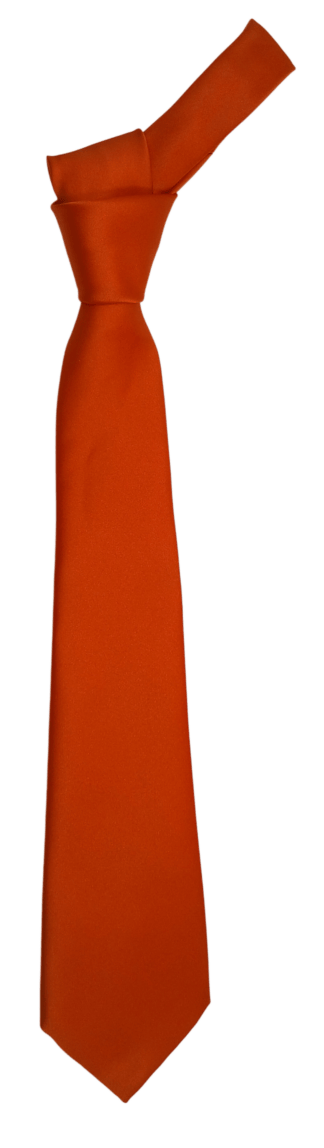 Orange Plain Tie